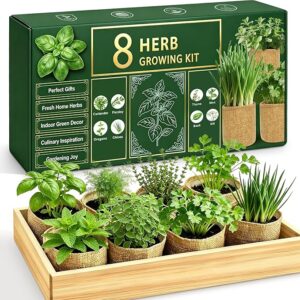 Best Amazon Summer Hostess & Birthday Gifts Under $50 11 herbs